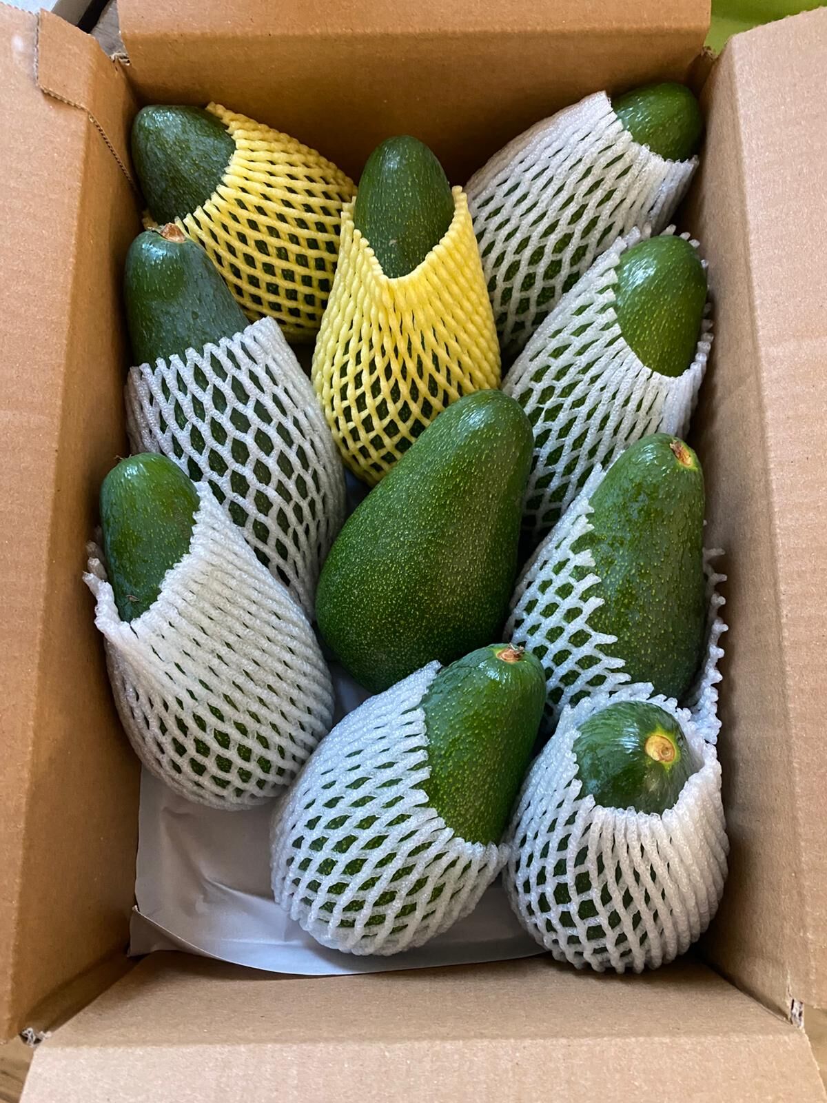 AVOKADO 20 ADET (250 GR ÜSTÜ)