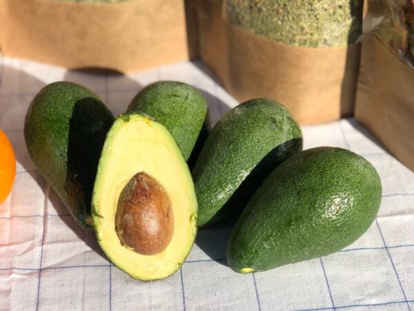 AVOKADO 20 ADET (250 GR ÜSTÜ)