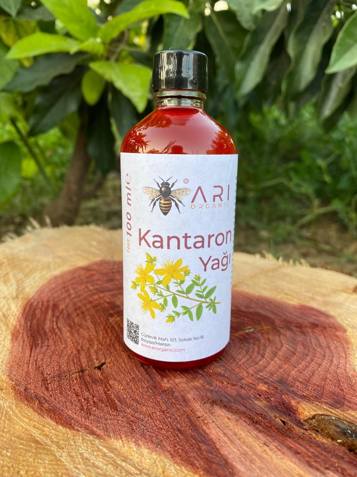 Kantaron yağı 100ml (geleneksel üretim)