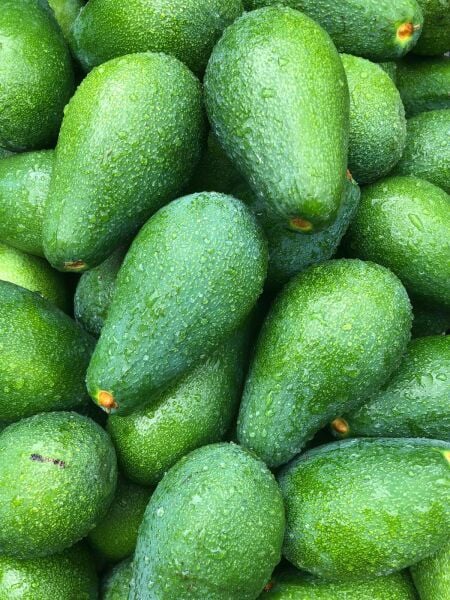1 kg Avokado (5-9 Adet)