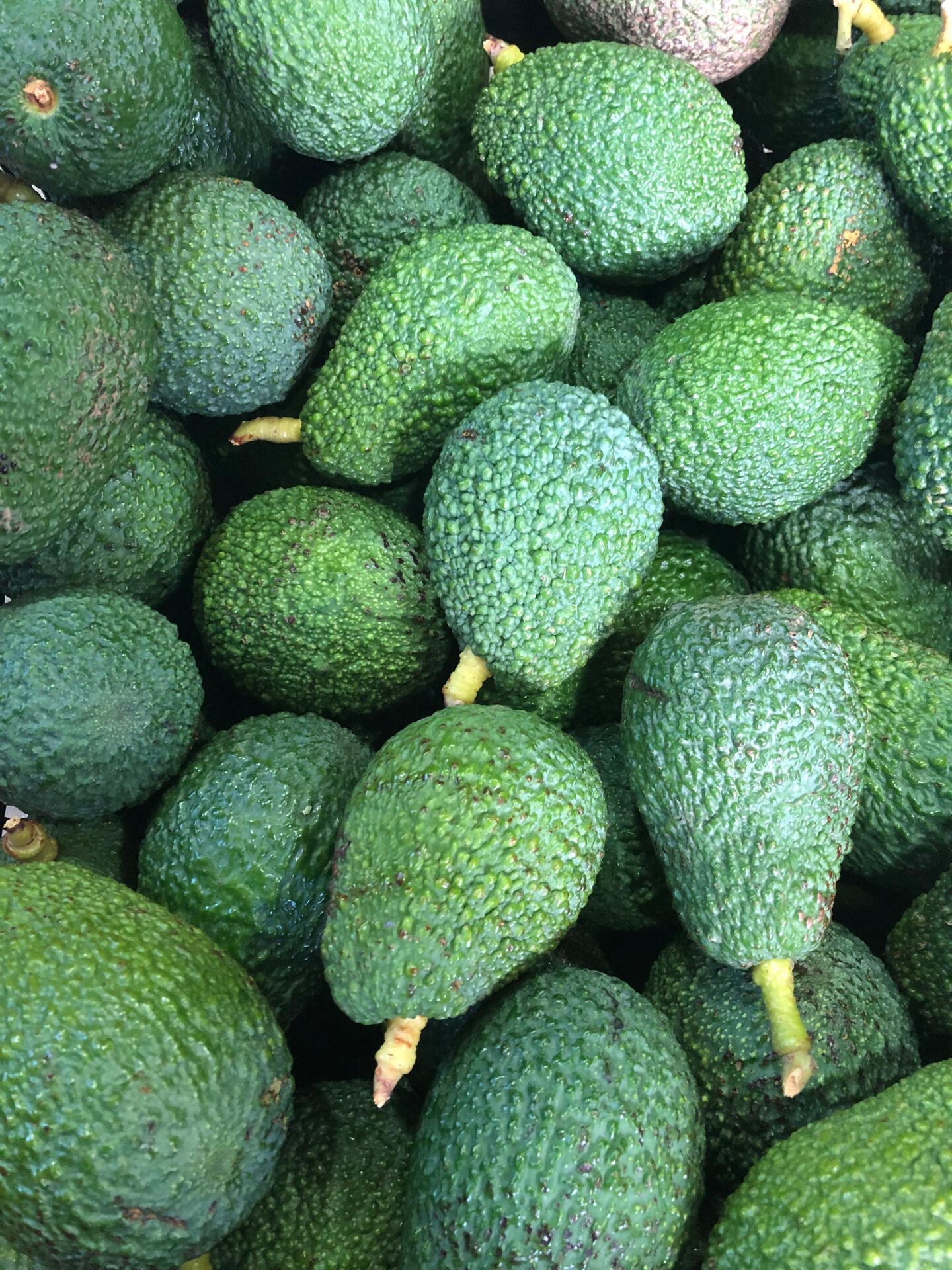 1 kg Avokado (5-9 Adet)